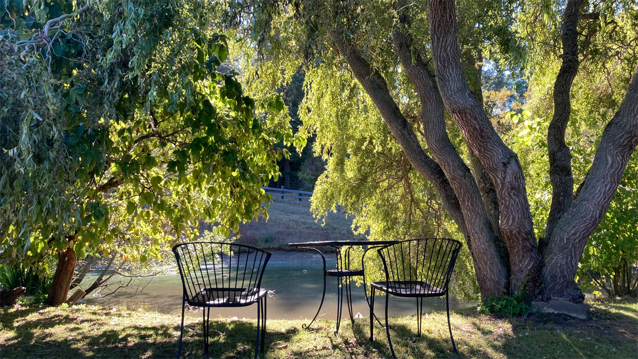 chairs at the pond under the willow tree
